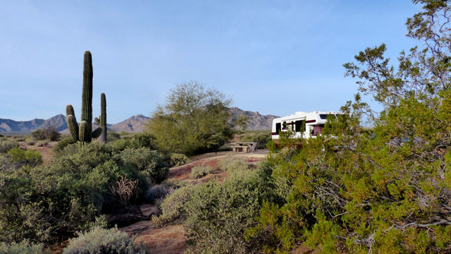 McDowell-Mountain