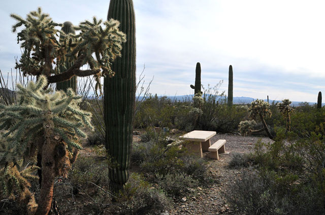 gilbert-ray-tucson