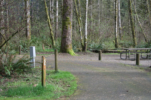 ike-kinswa-state-park