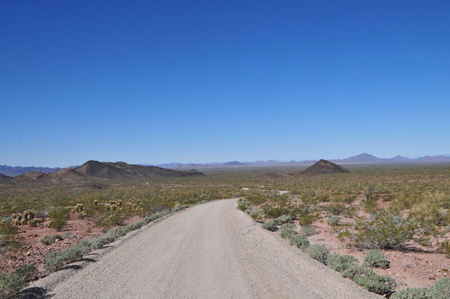 kofa-national-wildlife-refuge-palm-canyon