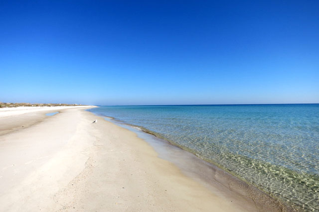 st-george-island-state-park