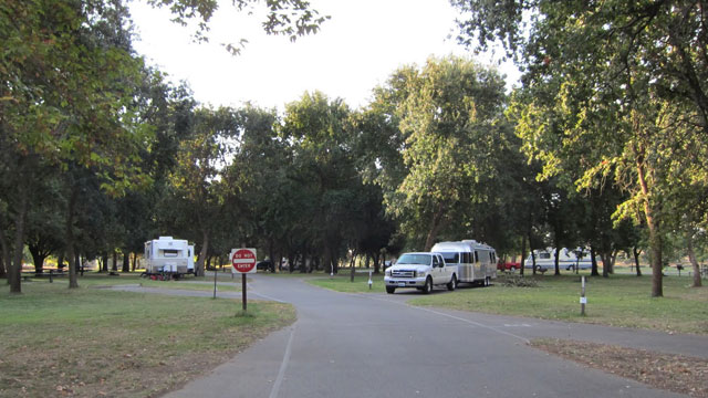 sycamore-grove