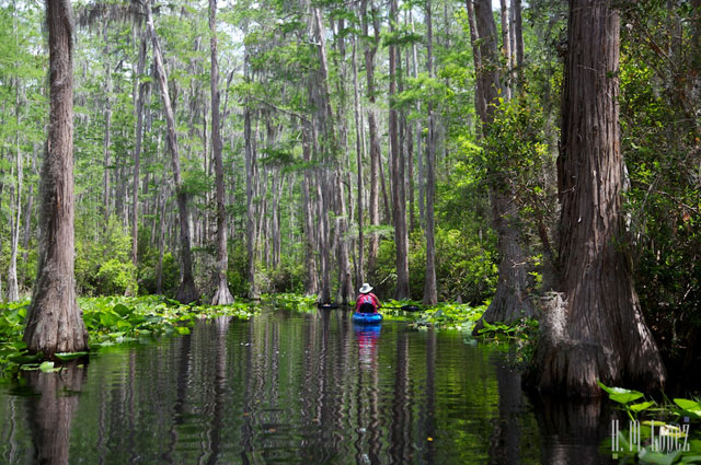 stephen-c-foster-state-park