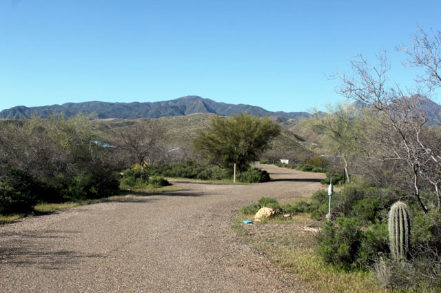 cholla-campground