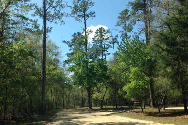 torreya-state-park