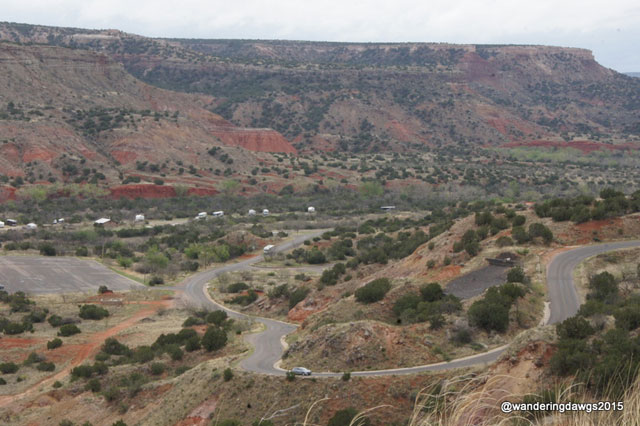 palo-duro