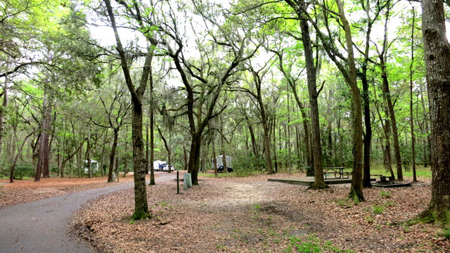skidaway