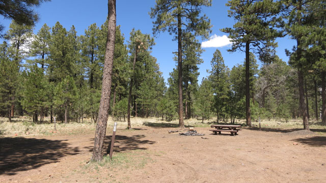 9350-camping-area