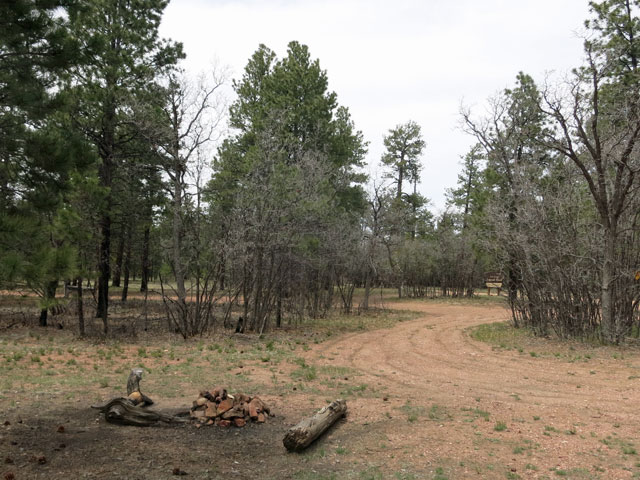 coconino-rim