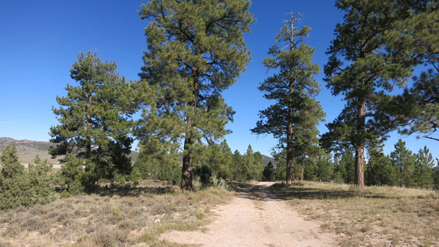 johnsvalley