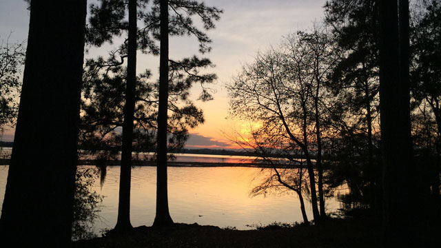martin-dies-jr-state-park