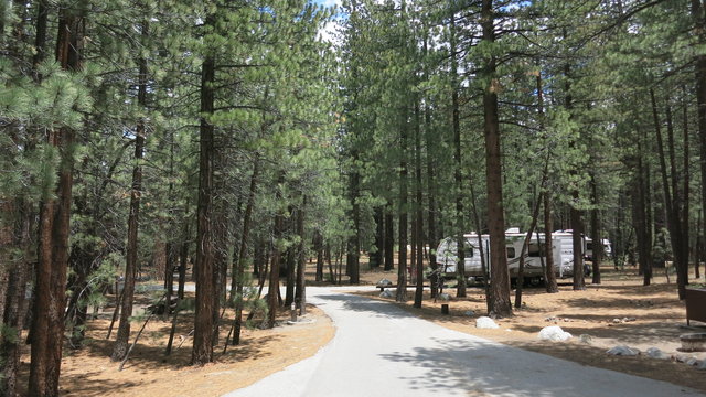 new-shady-rest-campground