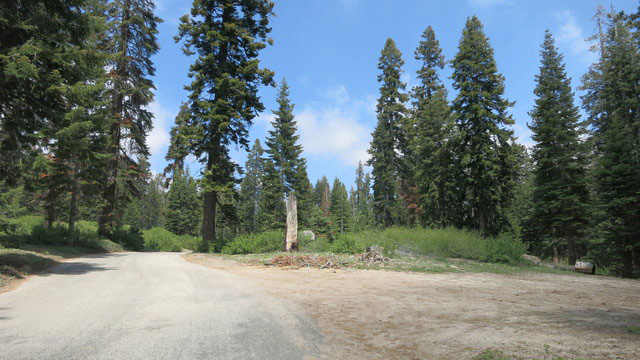 western-big-meadow