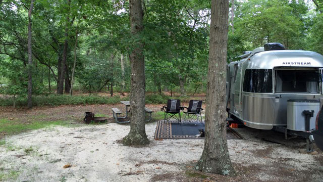 bass-river-state-forest