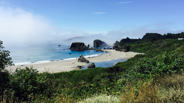 harris-beach-state-park