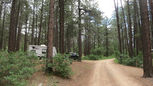 junction-creek-campground