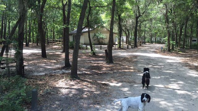 tuck-in-the-wood-campground