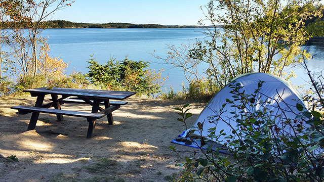 cobscook-bay-state-park