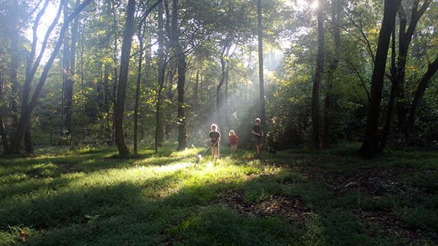 fort-yargo-state-park