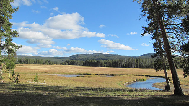 norris-campground