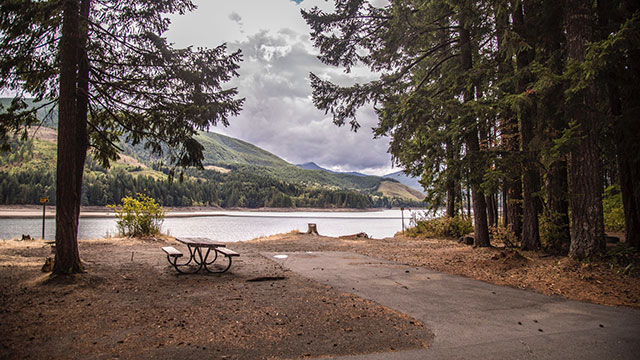 swift-forest-camp