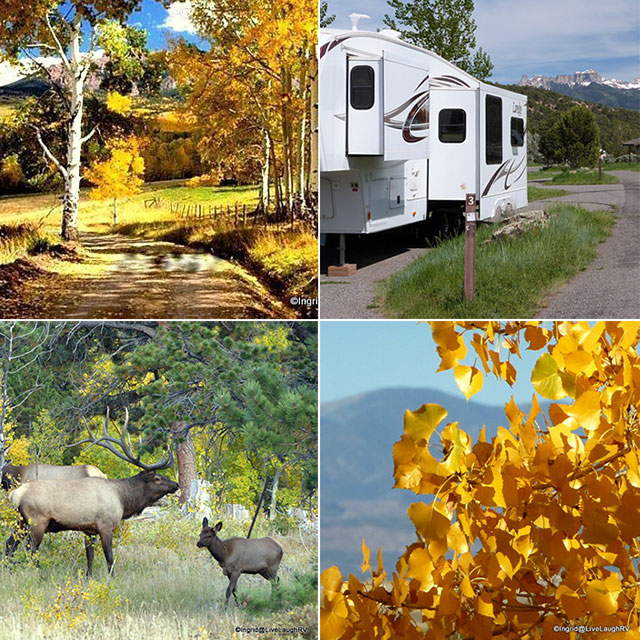 fall-colors