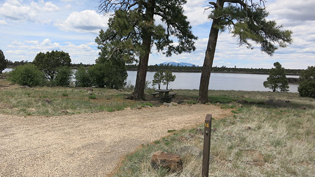 forked-pine-campground