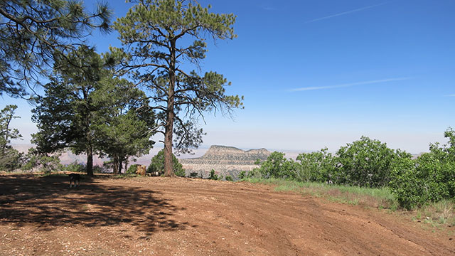 fire-point