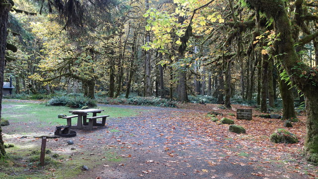 graves-creek-campground