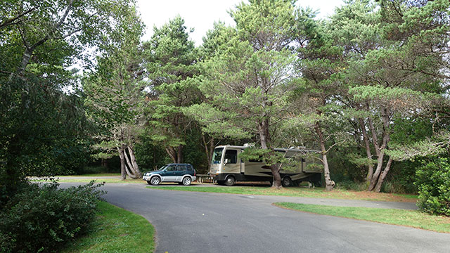 grayland-beach-state-park