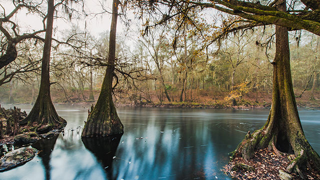 oleno-state-park