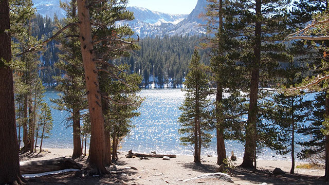 pine-city