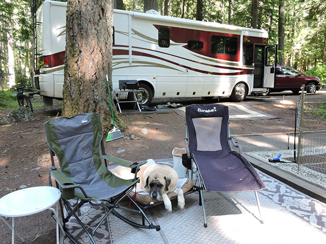 silver-springs-campground-snoqualmie-nf
