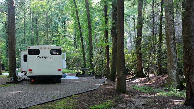 vogel-state-park