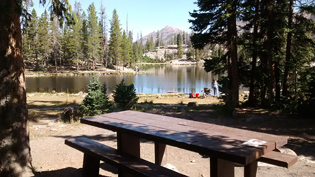 butterfly-lake