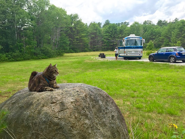 scaroon-manor-campground