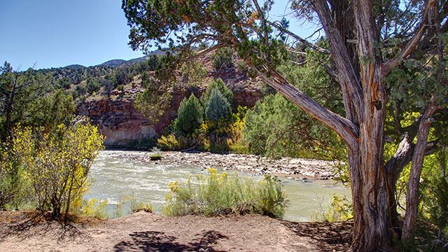 whirlpool-dispersed-camping-area