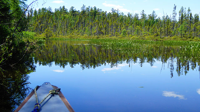 buck-pond-campground