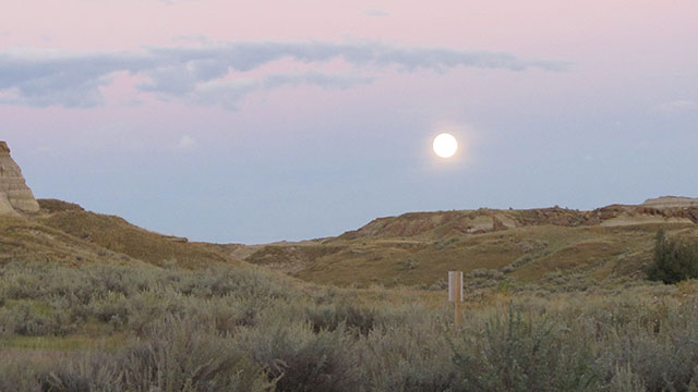 dinosaur-provincial-park
