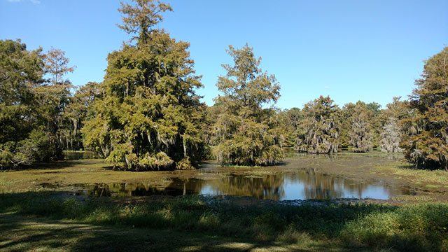 georgia-veterans-state-park