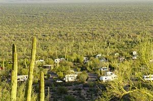 Organ Pipe Camping