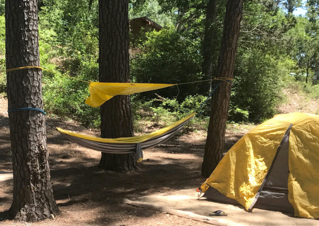 a hammock hanging near a tent
