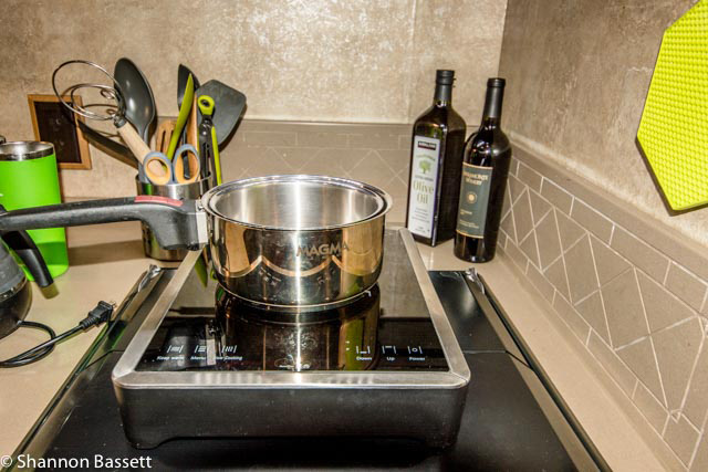 Induction Burner and Magma Steel Pots
