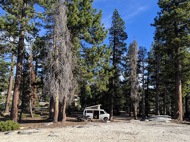 Western Big Meadow Road Camping Area