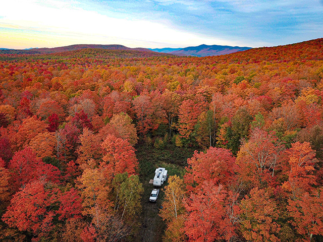 Gale River Loop Road