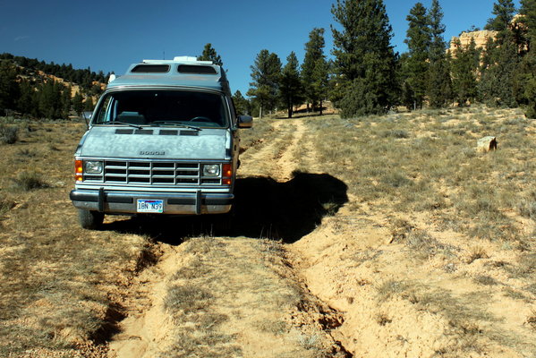 a blue van parked in a meadow near a forest