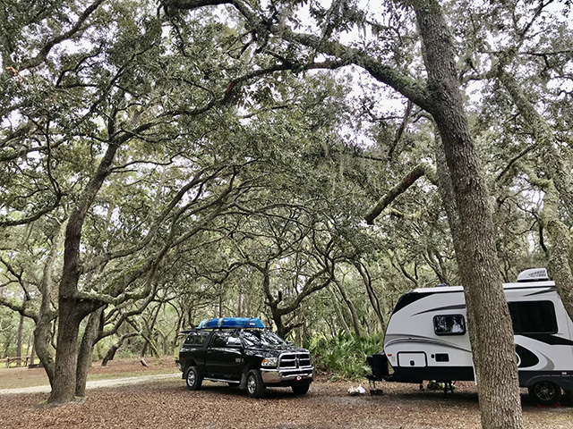 Serenova Tract Starkey Wilderness Preserve