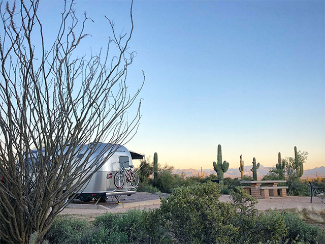 McDowell Mountain Regional Park County Park