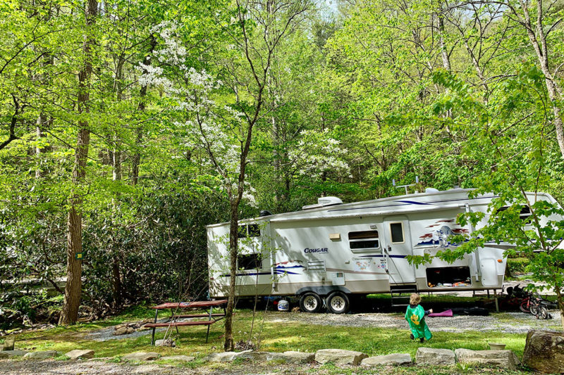 Moonshine Creek Campground 
