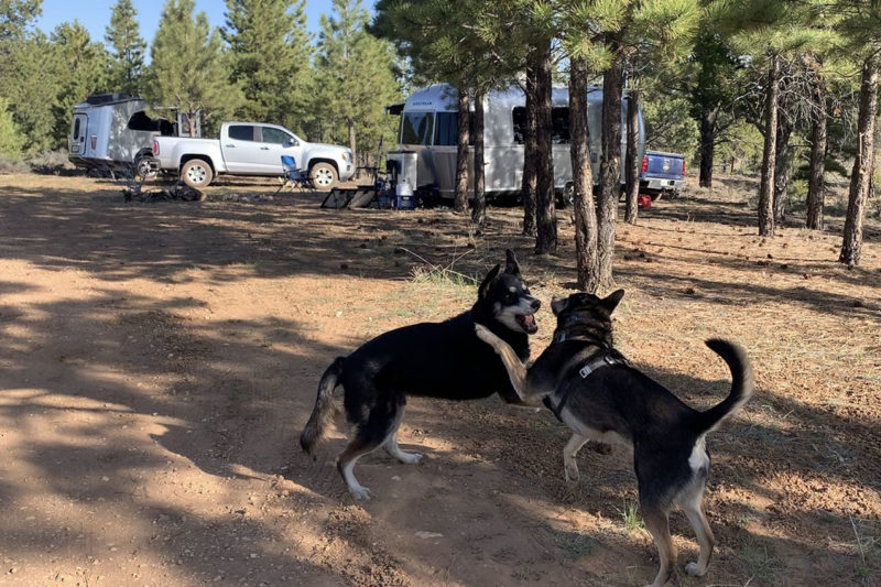 Tom's Best Spring Dispersed Camping